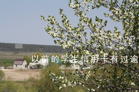 以前的学生信用卡有过逾期怎么办 以前的学生信用卡有过逾期怎么办