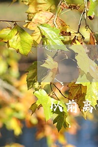 以前离婚没有离婚协议书 以前离婚没有离婚协议书