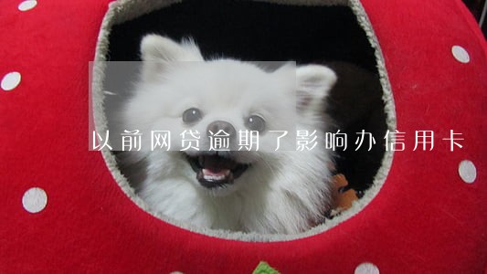 以前网贷逾期了影响办信用卡 以前网贷逾期了影响办信用卡