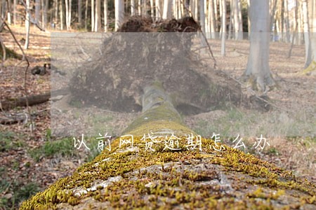 以前网贷逾期怎么办 以前网贷逾期怎么办