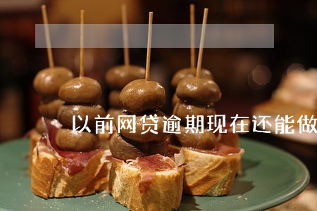 以前网贷逾期现在还能做吗 以前网贷逾期现在还能做吗