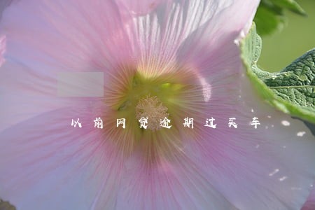 以前网贷逾期过买车 以前网贷逾期过买车