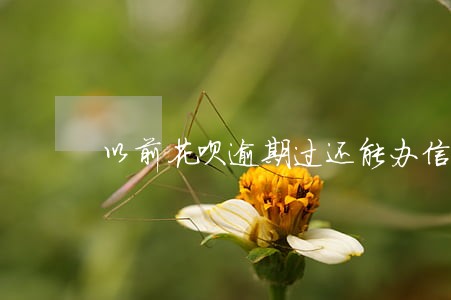 以前花呗逾期过还能办信用卡吗