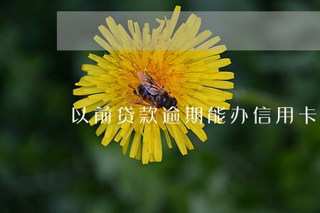 以前贷款逾期能办信用卡吗 以前贷款逾期能办信用卡吗