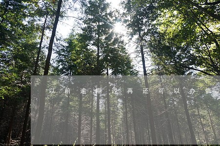 以前逾期过再还可以办信用卡吗 以前逾期过再还可以办信用卡吗