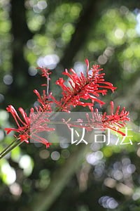 以司法之名