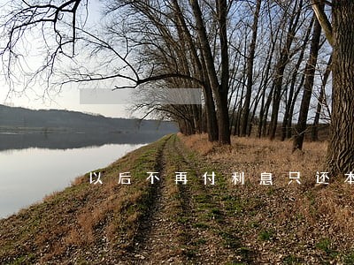以后不再付利息只还本金 以后不再付利息只还本金