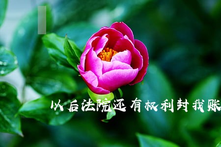 以后法院还有权利封我账户吗 以后法院还有权利封我账户吗