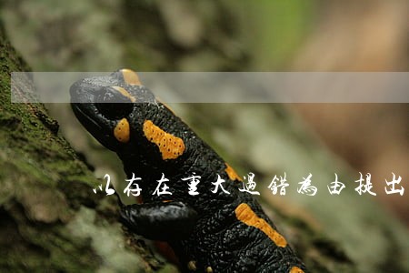 以存在重大过错为由提出离婚 以存在重大过错为由提出离婚