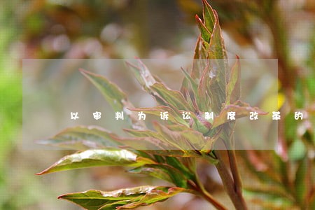 以审判为诉讼制度改革的意见 以审判为诉讼制度改革的意见