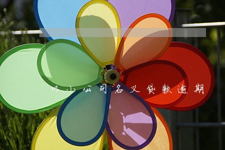 以小公司名义贷款逾期 以小公司名义贷款逾期