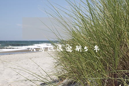 以房担保逾期5年 以房担保逾期5年