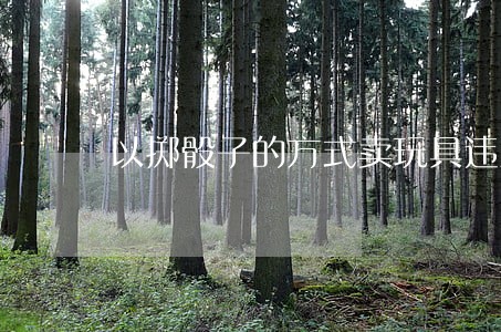 以掷骰子的方式卖玩具违法吗 以掷骰子的方式卖玩具违法吗