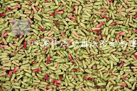 以案释法助推法治赤水建设