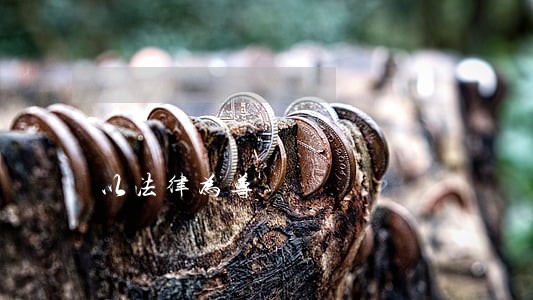 以法律为尊 以法律为尊