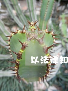 以法律知识写三行情诗