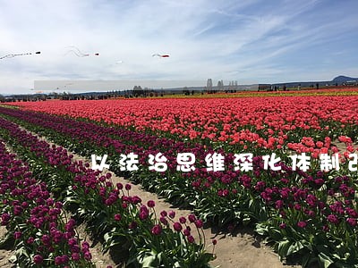 以法治思维深化体制改革 以法治思维深化体制改革