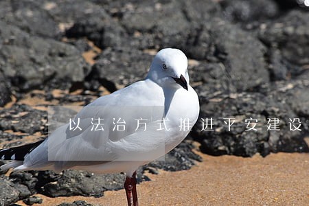以法治方式推进平安建设 以法治方式推进平安建设