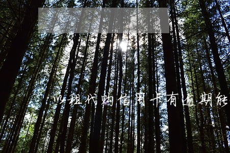 以租代购信用卡有逾期能做吗 以租代购信用卡有逾期能做吗