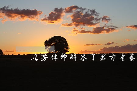 以芳律师解答了男方有暴力倾向
