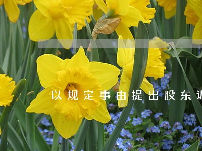 以规定事由提出股东诉讼 以规定事由提出股东诉讼