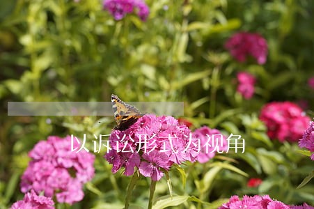 以诉讼形式为视角 以诉讼形式为视角