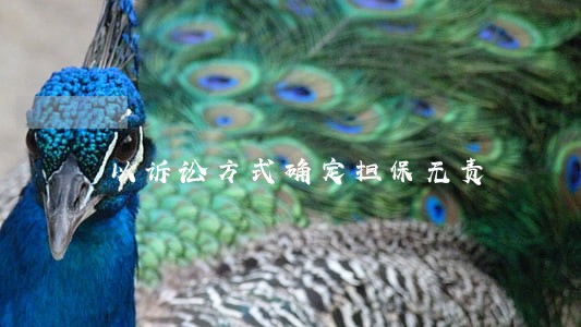 以诉讼方式确定担保无责