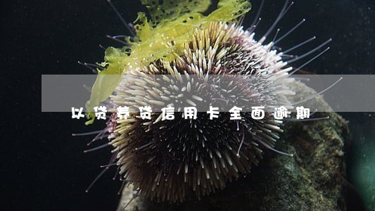 以贷养贷信用卡全面逾期 以贷养贷信用卡全面逾期
