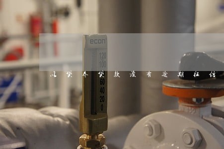 以贷养贷款没有逾期征信 以贷养贷款没有逾期征信