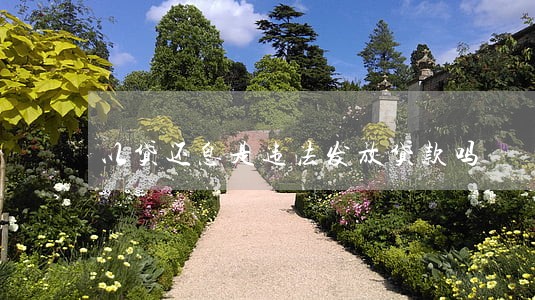 以贷还息是违法发放贷款吗 以贷还息是违法发放贷款吗