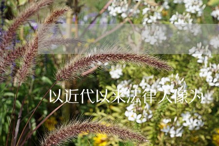 以近代以来法律人像为 以近代以来法律人像为