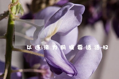 以违法为前提要话语权 以违法为前提要话语权