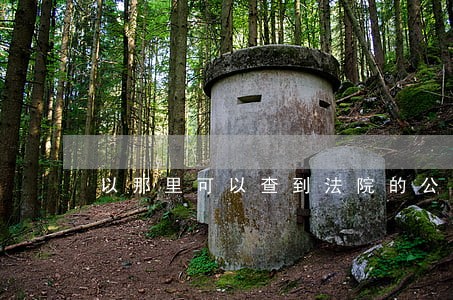 以那里可以查到法院的公告栏 以那里可以查到法院的公告栏