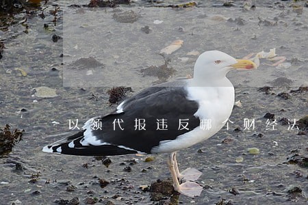 以领代报违反哪个财经法规 以领代报违反哪个财经法规
