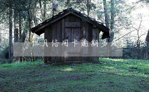 仨月信用卡逾期多久能消除 仨月信用卡逾期多久能消除