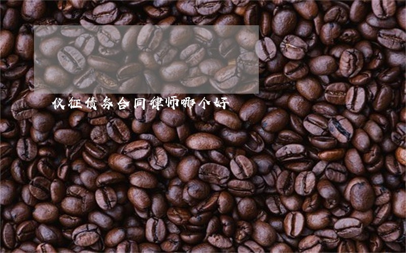 仪征债务合同律师哪个好 仪征债务合同律师哪个好