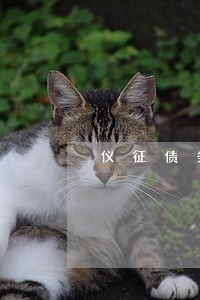 仪征债务合同律师预约电话 仪征债务合同律师预约电话