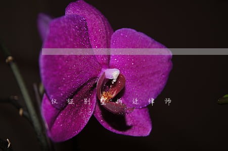 仪征别墅拆迁律师 仪征别墅拆迁律师