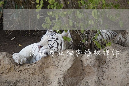 仪征商业秘密维权律师 仪征商业秘密维权律师