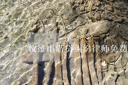 仪征市借贷纠纷律师免费咨询 仪征市借贷纠纷律师免费咨询