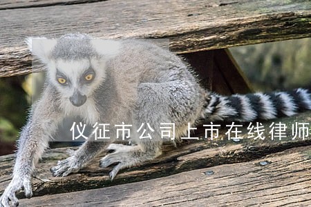 仪征市公司上市在线律师咨询 仪征市公司上市在线律师咨询