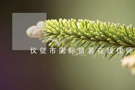 仪征市国际贸易在线律师 仪征市国际贸易在线律师