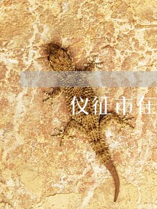 仪征市在线法律咨询 仪征市在线法律咨询