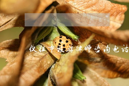 仪征市旅游律师咨询电话 仪征市旅游律师咨询电话