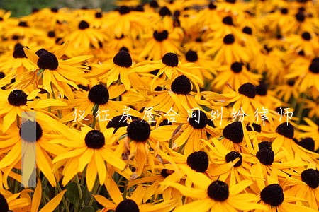 仪征房屋合同纠纷律师 仪征房屋合同纠纷律师