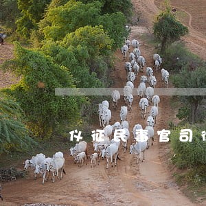 仪征民事官司律师价钱 仪征民事官司律师价钱
