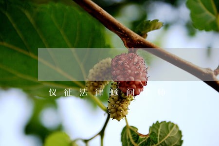 仪征法律顾问律师 仪征法律顾问律师