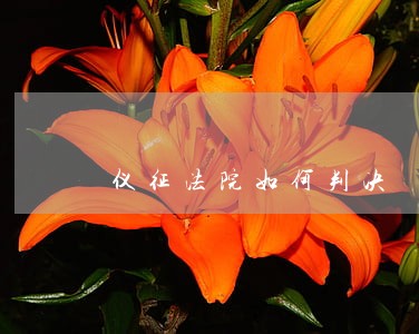 仪征法院如何判决 仪征法院如何判决