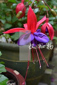 仪征物业合同纠纷律师 仪征物业合同纠纷律师