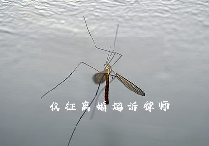 仪征离婚起诉律师 仪征离婚起诉律师